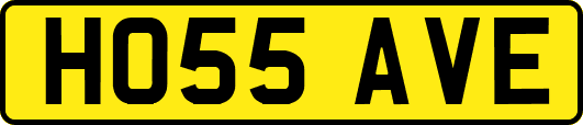 HO55AVE