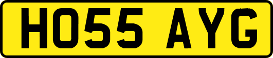 HO55AYG
