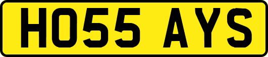 HO55AYS