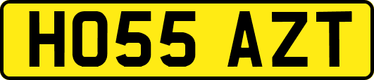 HO55AZT