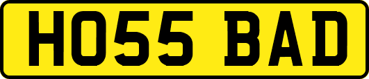HO55BAD