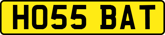 HO55BAT