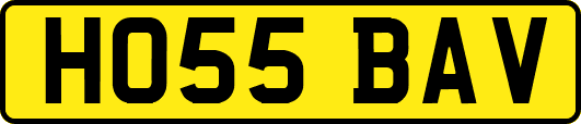 HO55BAV