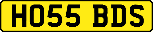 HO55BDS