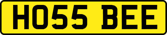 HO55BEE