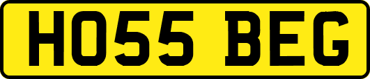 HO55BEG