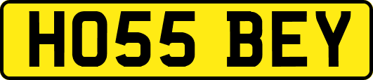 HO55BEY