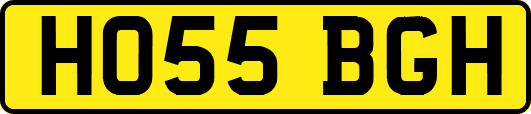 HO55BGH