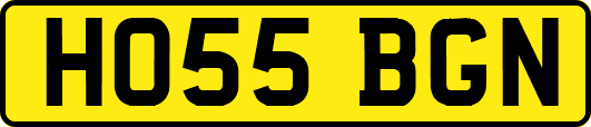 HO55BGN
