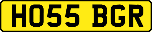 HO55BGR
