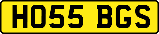 HO55BGS