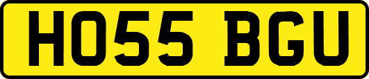 HO55BGU