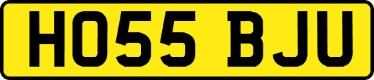 HO55BJU
