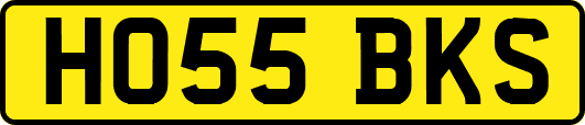 HO55BKS