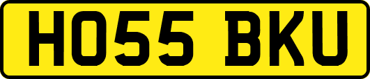 HO55BKU