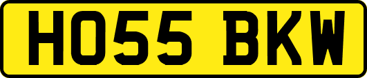 HO55BKW