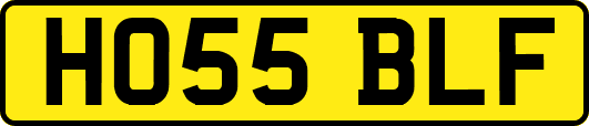 HO55BLF