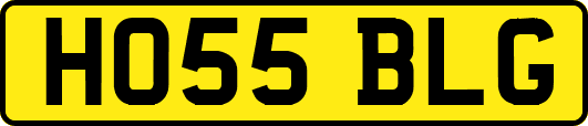 HO55BLG
