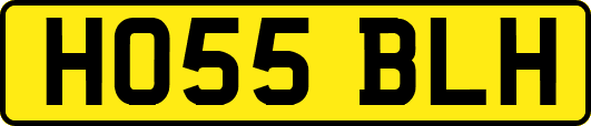 HO55BLH