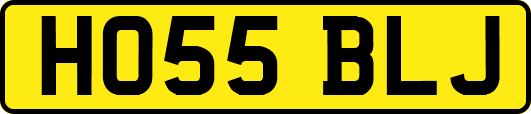 HO55BLJ