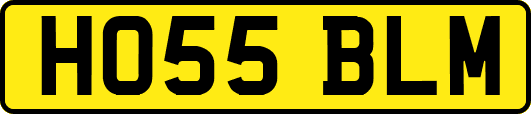 HO55BLM