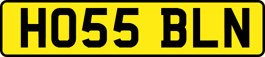 HO55BLN