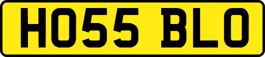 HO55BLO