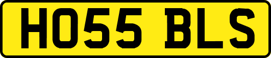 HO55BLS