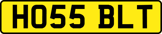 HO55BLT