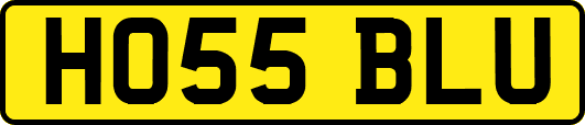 HO55BLU