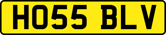 HO55BLV