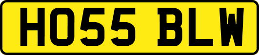 HO55BLW