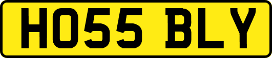 HO55BLY