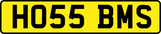 HO55BMS