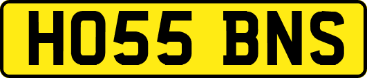 HO55BNS