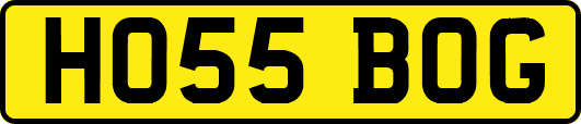 HO55BOG