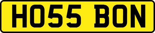 HO55BON