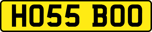 HO55BOO