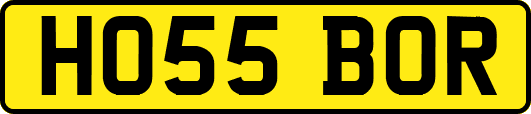 HO55BOR