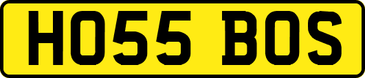HO55BOS