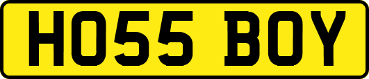 HO55BOY