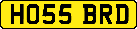 HO55BRD