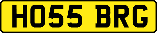 HO55BRG