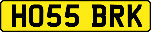 HO55BRK