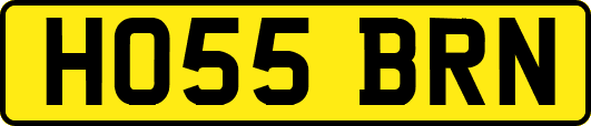 HO55BRN