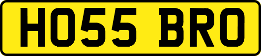 HO55BRO