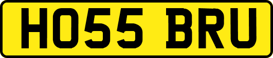 HO55BRU
