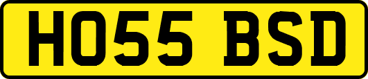 HO55BSD