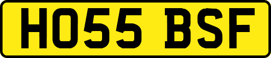 HO55BSF