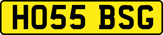 HO55BSG